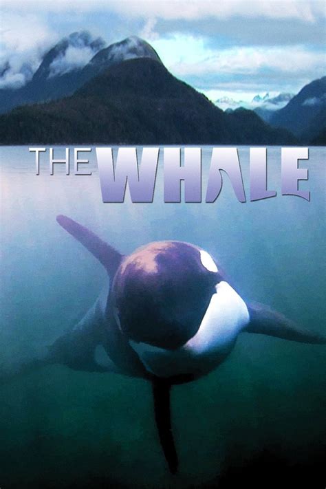 the whale bdrip|Subtitles The Whale .